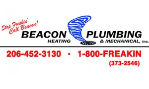 Commercial Plumbing in Olympia