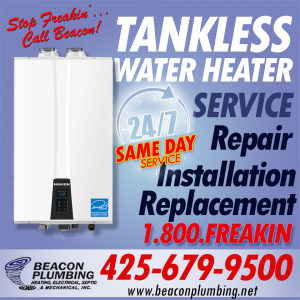Tankless Water Heater Bellevue
