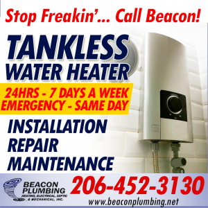 Tankless Water Heater Ballard