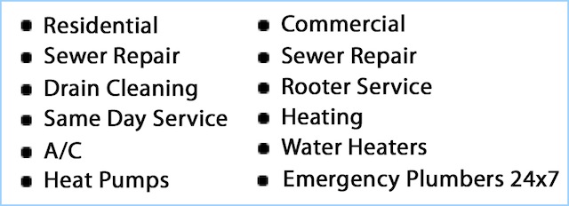 rooter-services-lynnwood