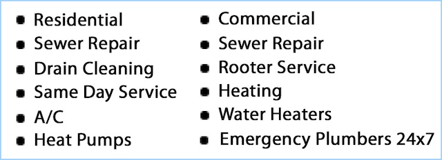 rooter-south-king-county