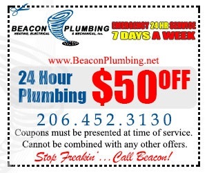 commercial-plumber-lake-washington-wa