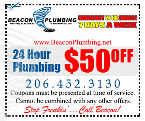 drain-cleaning-fremont-wa