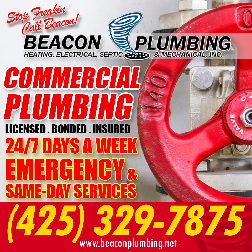 Commercial-Plumbing-Company-Maltby-WA