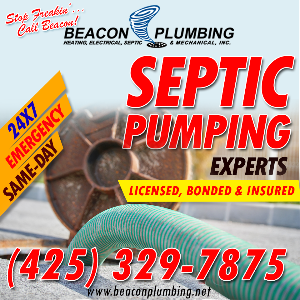Septic-System-Maltby-WA