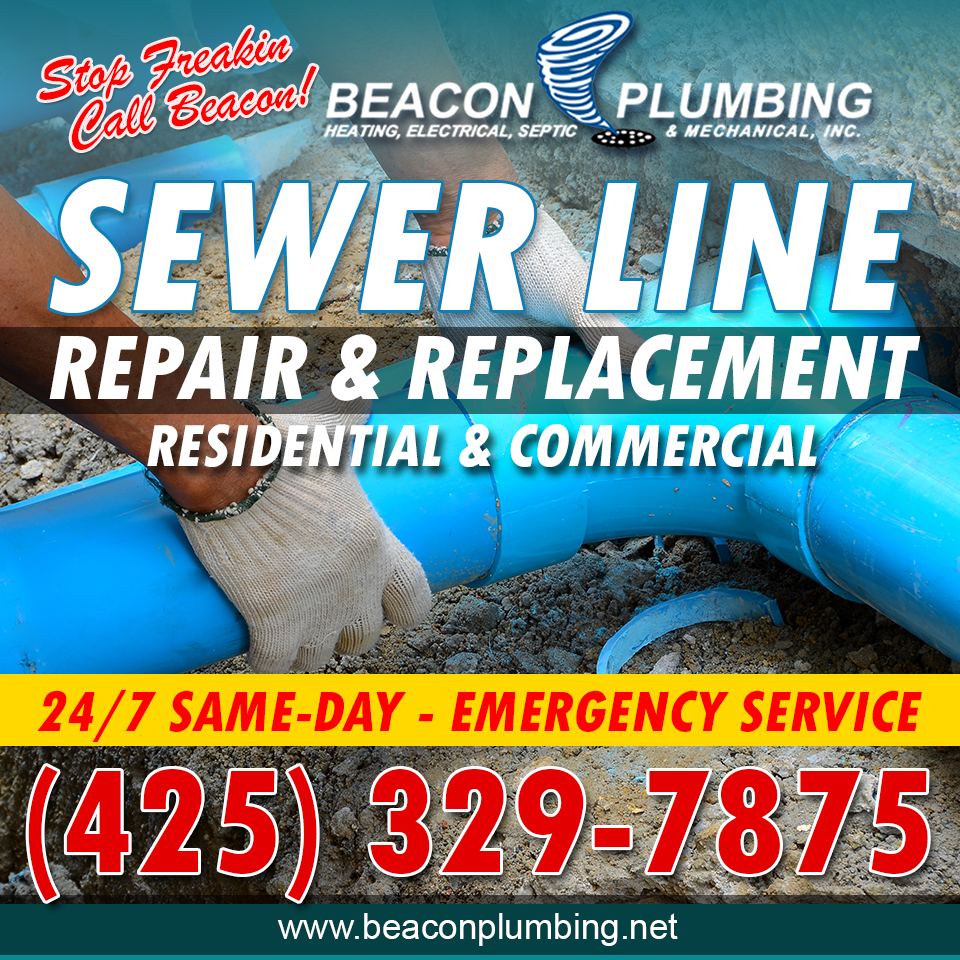 Sewer-Replacement-Factoria-WA