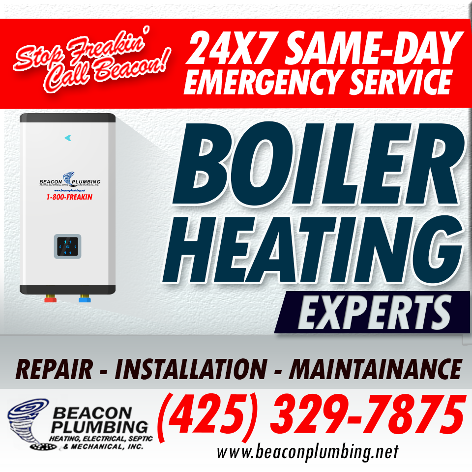 Boiler-Repair-Factoria-WA