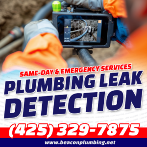 Leak Detection Lake Stevens WA 98258