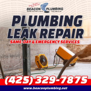 Plumbing Leak Repair Lake Stevens WA 98258