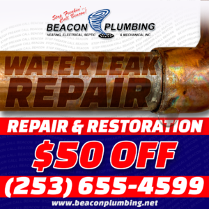 Water Leak Repair Parkland WA 98444