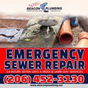 Emergency Sewer Repair Algona WA 98001