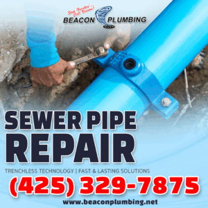 Sewer Pipe Repair Mukilteo WA 98275