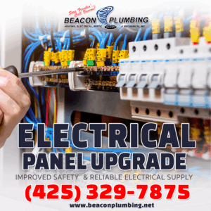 Electrical Panel Upgrade Maltby WA 98021