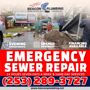 Emergency Sewer Repair Auburn WA